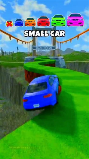 Small vs Big: Only ONE Car Reaches Freedom! 🏁🔥