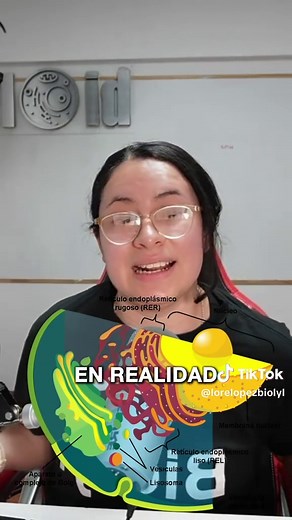 Lípidos Esenciales en Biología y Su Importancia