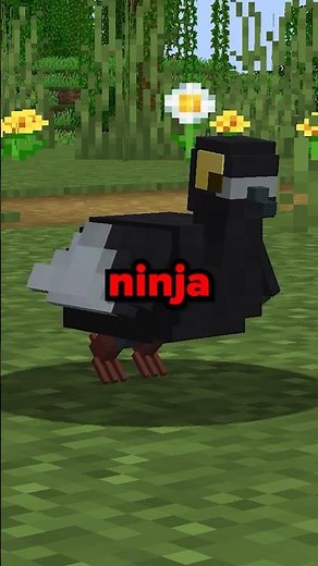 This MOD adds NINJA to Minecraft!