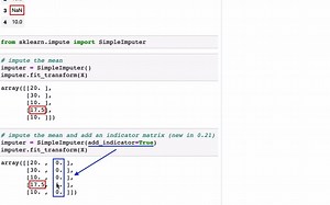 sklearn使用技巧 - #9 Add a missing indicator to encode "missingness" as a feature