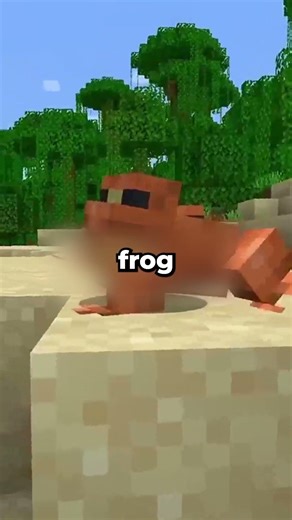 Facts about the Frog