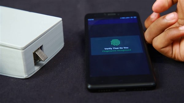 Make a Remote Biometric Lock
