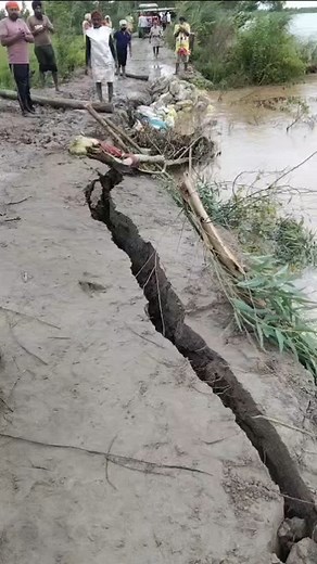 Harpal Singh on Reels