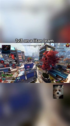 best 1.1 per optic player | twitch.tv/zaxxyv live almost everyday #zaxxywaxxy #apexlegends #apex #playapex #1 @.06.26.07 @Tater✝️ @ex iiiethereal @clutch-inn @.ilovex1m @aca @xo @Ikylm @C1RT