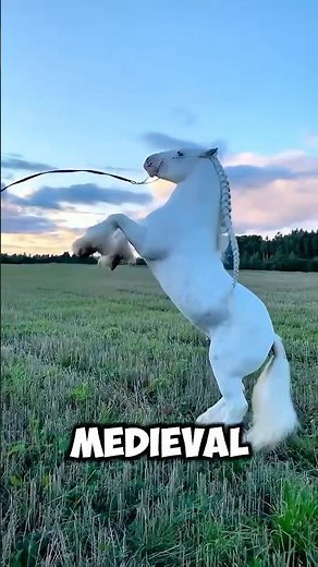 The most dangerous horses in the world #animalfacts #horses