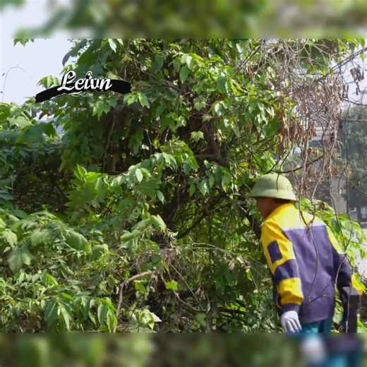 Neighbors DON'T BELIEVE we can clean up this overg Cre:Clean Up 1991 . . . . . #deepcleaning #oddlysatisfying #beforeandafter #makeover #transformation #sariafyingcleaning #sparklingclean #tidyup #deepclean #homecleaning #putzen #nettoyer #cleaning #rivercleanup #cleanupthedirtykitchen #cleantok #superclean #kitchencleaner #limpiezahogar #cleaningforfee #housecleaning #kitchencleaning #bedroomcleaning #livingroomcleaning #cleanupthetrash #cleanupthedirtyroom | Sem