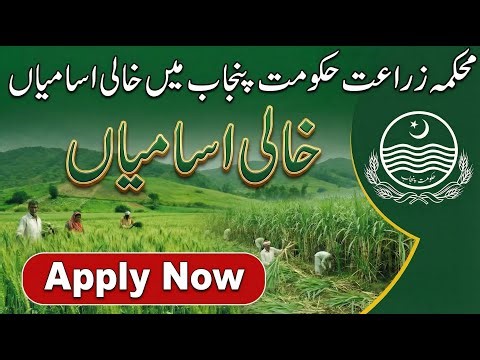 How to Apply: Jalalpur Irrigation Project Jobs 2026 | Punjab Agriculture Dept