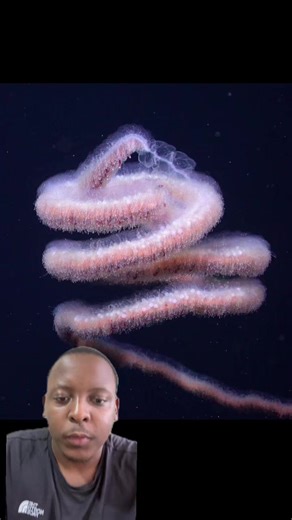 Exploring the Deep Sea: A Journey into the Ocean's Depths