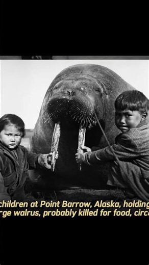 Life at -50°C, The Inuits #historyshorts