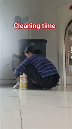 Cleaning our pellet stove#pelletstove #stove #cleaning #cleaningmotivation