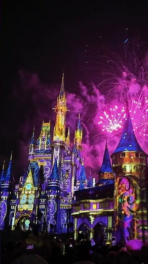 Walt Disney World Fireworks Final Tinkerbell Takes Flight