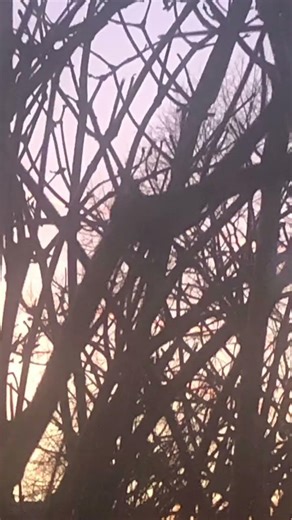 Sunset slideshow 🌆 #sunsets #slideshow