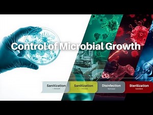 Control of Microbial Growth