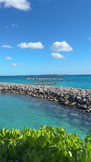 Top Cologne Choices for Any Occasion