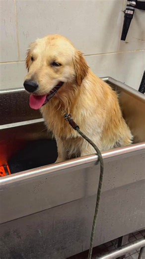 Understanding Situationships: Insights with Joe Rogan