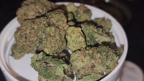 SunMed - Snoop Dogg OG (3.7% Terpenes)