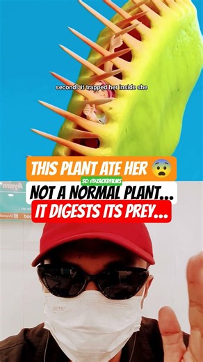 This Giant Plant Swallowed Her… 😨 | @zackdfilms #trending #facts #fypシ゚viral #viral #ytshorts