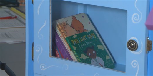 Arizona’s Little Free Libraries in need of books to restock shelves