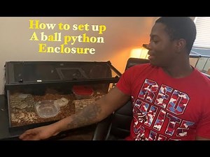 How to set up a ball python enclosure (Ball Python setup for beginners) l Dixon's Reptillia