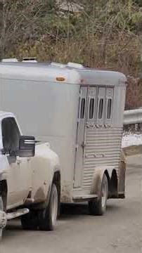 Coopers Hawk or Broadwing Hawk. #eating #roadkill #birds #countrymusic #wildlife