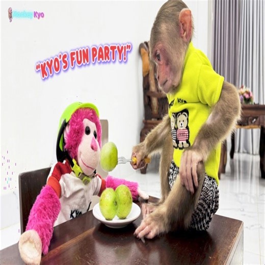 🤣 Laughing non stop! Monkey Kyo plays dress up with her stuffed monkey! | Slingshot ride