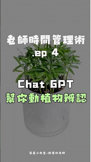 彗星小教室｜用ChatGPT辨識動植物｜國小教學好幫手｜#ChatGPT教學應用#教學工作者的秘密武器#老師日常#鳳凰颱風，在家玩玩Chat GPT