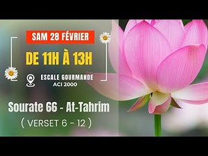 Sourate 66 At-Tahrim ( VERSET 6 - 12 ) Éducation islamique Famille et Repentir