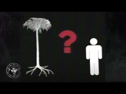 Lepidodendron Tree Beat | Analog Horror Music | Have You Seen This Tree? | Mesozoic Era | Hip Hop