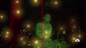 990K views · 5.1K reactions | This year, 21,000 people vied for the 1,800 coveted passes to see the Synchronous Fireflies light up the Smoky Mountains during their mating ritual. Lester Holt has the story. | NBC Nightly News with Tom Llamas | Facebook