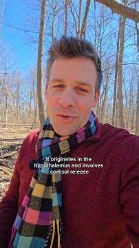 Pandiculation is a nervous system reboot observed in every vertebrate species including humans