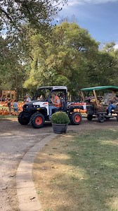 It’s a great day at Papa’s Pumpkin Patch! Come celebrate the autumn season with us. Open 12-7 pm with all activities running this weekend. 🚂 | Papa's Pumpkin Patch and Papa's Polar Patch