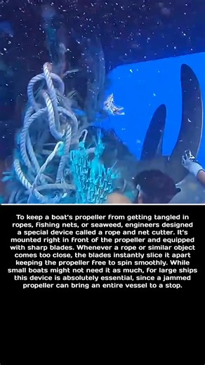 7.6K views · 21 reactions | The Device That Keeps a Ship’s Propeller from Getting Jammed #facts #engineering #boats #innovation #technology #ships #maritime #propeller #science #ocean | Fact XYZ | Facebook