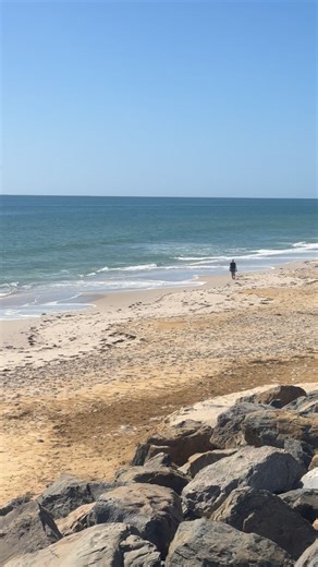 The toxic algal Summer of ‘25 | SAVE WEST BEACH SAND