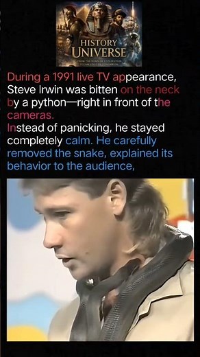 Fearless on Live TV: Steve Irwin’s Unforgettable Python Bite#history #historyfacts