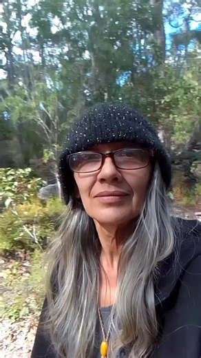 Rescued Dogs: A Story of Hope and Friendship