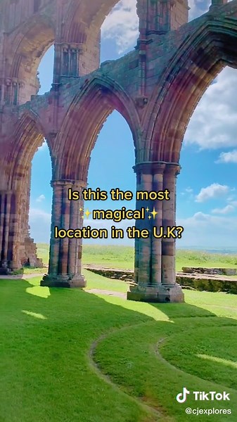 CJ Explores on TikTok