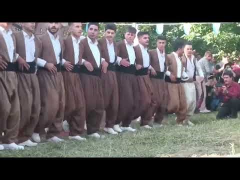 The Beautiful Dance of Earth: Nature's Elegance Explained