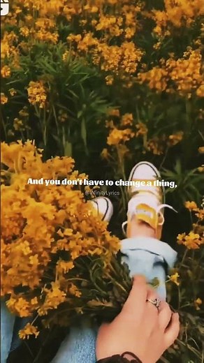 Scars to Your Beautiful - Alessia Cara | lyrics | aesthetic | english songs |Slowed |whatsapp status