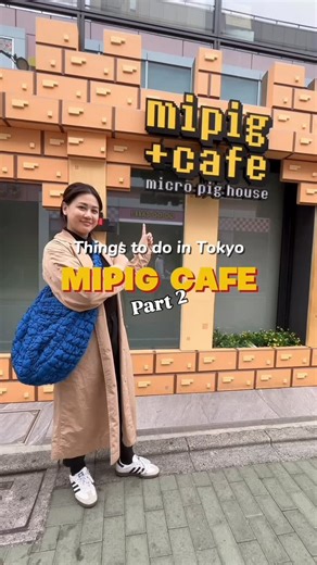 Karen | Food & Travel 🌴 on Instagram: "Totally caught some major feels. 🐷🐷🐷 You put the blanket on your lap, mini pigs starts to roam around and you hope you get selected. You are not allow to pick them up. I was chosen by 3 mini pigs! 🐷🐷🐷 Totally made my day. Don’t forget to get your free drink. There’s a vending machine right by the middle ish of the room. ☕️ #mipigcafeharajuku #tokyo #japan #thingstodo"