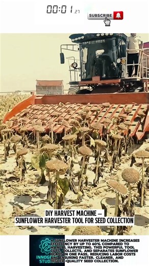DIY Harvest Machine – Sunflower Harvester Tool for Seed Collection
