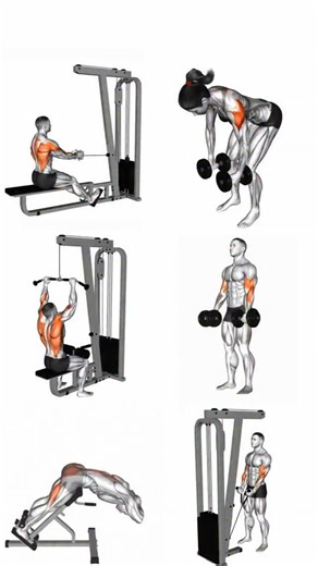 Biceps & back chart #sport | Azra Fitness