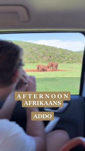 Afternoon Afrikaans Conversation at Addo Elephant Park