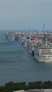 Miami water traffic is like no other! 🚢🚢🚢 #miami #cruises #cruiseship #timelapse #portmiami | The Cruise Spotter