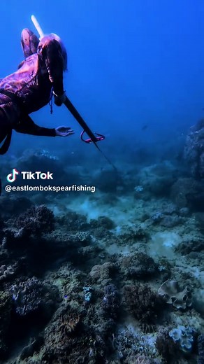 Beginner's Guide to Spearfishing Techniques