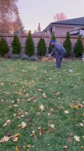 New Canadian Axel is happy to be here ! | DIBS Rescue