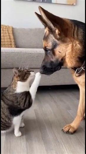 Cat surprised by dog’s reaction! 😱 | AI Dog Scientist