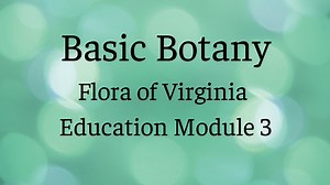 Flora Education Module 3 - Basic Botany