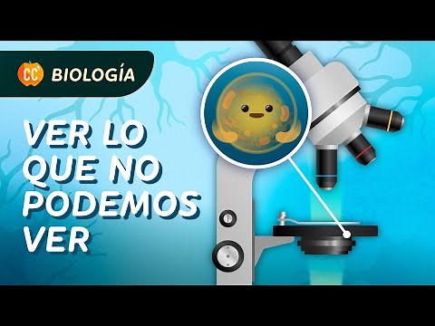 ¿Cómo funcionan los microscopios?: Crash Course Biología #22
