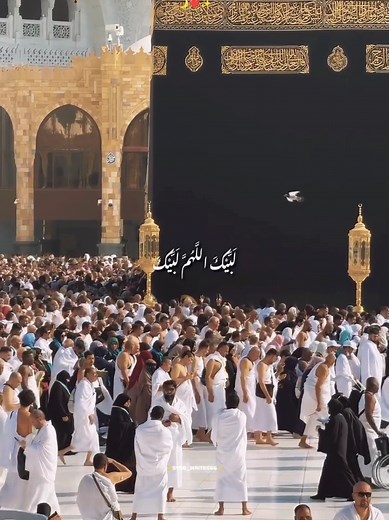 Hajj Mubarak 2026: Blessings, Prayers, and Guidance