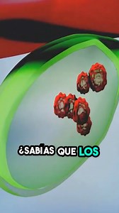 ¿Qué son los Cálculos Biliares y cuál es el tratamiento? #VESICULA #calculosbiliares #vesiculaconcalculos #colelap #tengocalculosbiliares | 𝑫𝒓. 𝑨𝒍𝒇𝒐𝒏𝒔𝒐 𝑱𝒂𝒄𝒊𝒏𝒕𝒐 - 𝑪𝒊𝒓𝒖𝒈í𝒂 𝒅𝒆 𝑶𝒃𝒆𝒔𝒊𝒅𝒂𝒅 & 𝑪𝒊𝒓𝒖𝒈í𝒂 𝑫𝒊𝒈𝒆𝒔𝒕𝒊𝒗𝒂 𝑳𝒂𝒑𝒂𝒓𝒐𝒔𝒄𝒐𝒑𝒊𝒂